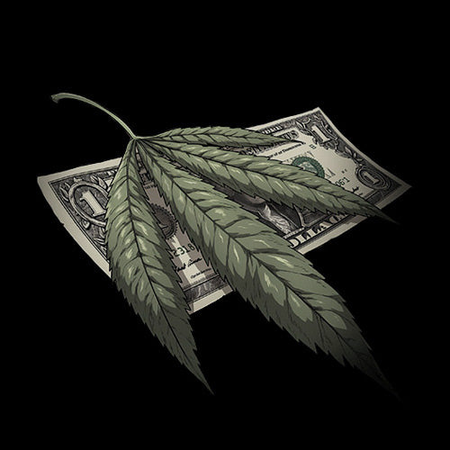 Ein großes Cannabisblatt liegt über einem Ein-Dollar-Schein auf schwarzem Hintergrund und verdeckt teilweise das Geld.