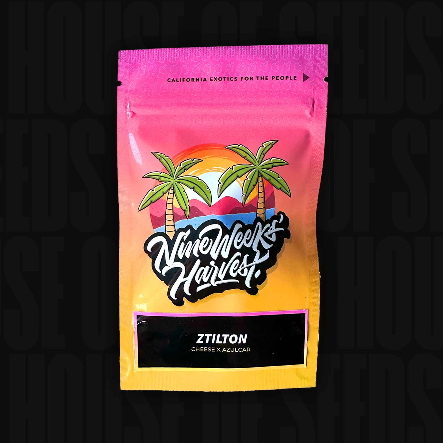 Nine Weeks Harvest Ztilton Beutel mit Palmen, Sonnenuntergang und Aufschrift UK Cheese x Azulcar auf schwarzem Streifen