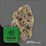 TB Gorilla Auto