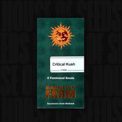 Grünes Barney’s Farm Critical Kush Päckchen mit orangefarbenem Sonnenlogo, Aufschrift 5 feminisierte Samen und Souvenirs aus Holland