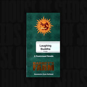 Grüne Barney’s Farm Packung Laughing Buddha mit Sonnenlogo, Aufschrift 3 feminisierte Samen, goldenem Barney’s Farm Text und Souvenirs aus Holland