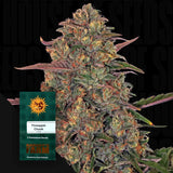 Pineapple Chunk