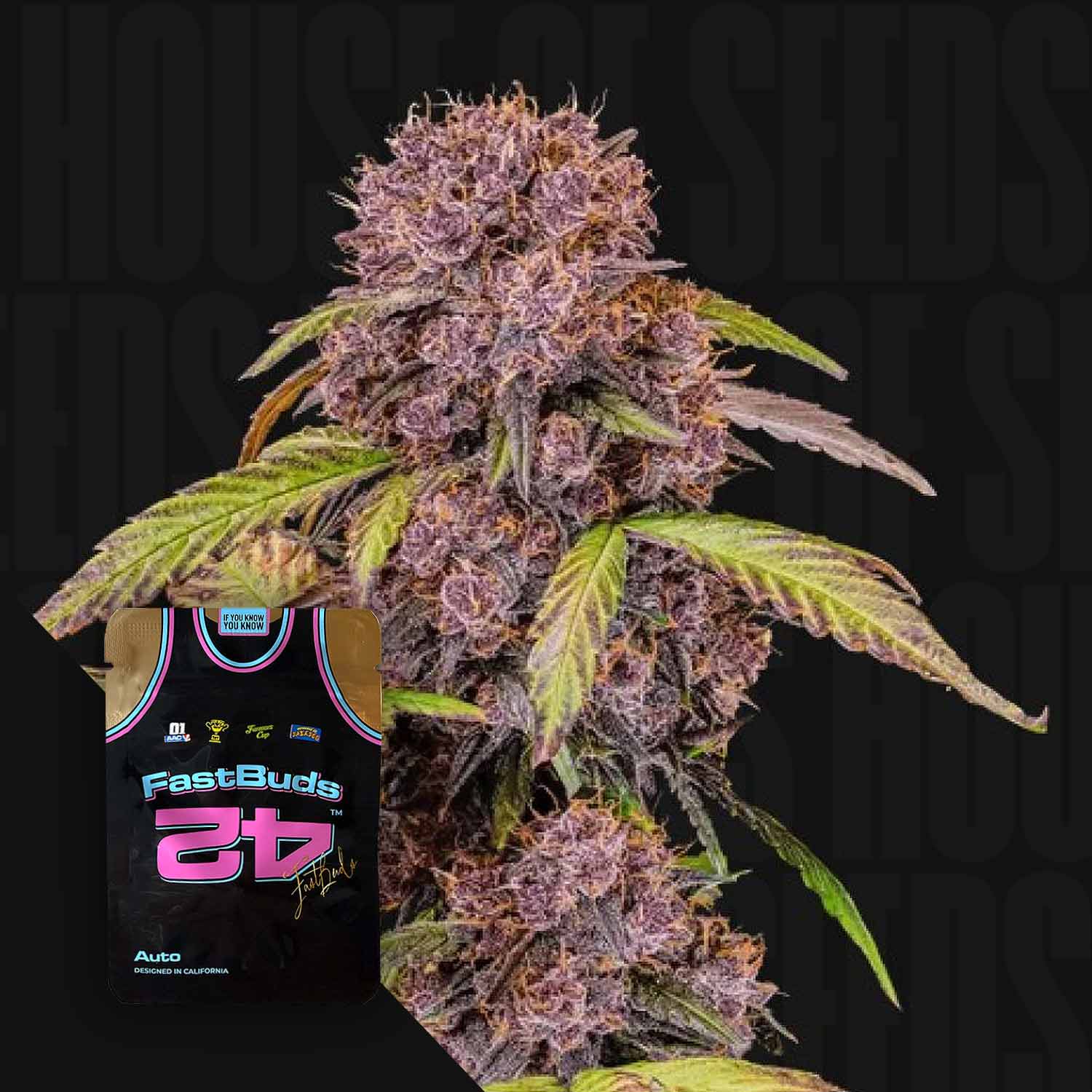 Eine Lemon Cherry Cookies Auto Knospe mit grünen Blättern neben einem 420 Fast Buds Tank Top auf einem dunklen Hintergrund.