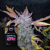 LSD-25 Auto