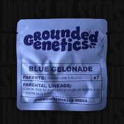Grounded Genetics Blue Gelonade Paket mit Angaben zu feminisierten Samen und Abstammung Caviar Lime x Blucci