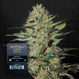 Exodus Cheese Auto