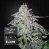 Franco's Lemon Cheese