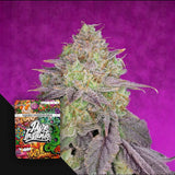 Shiskaberry