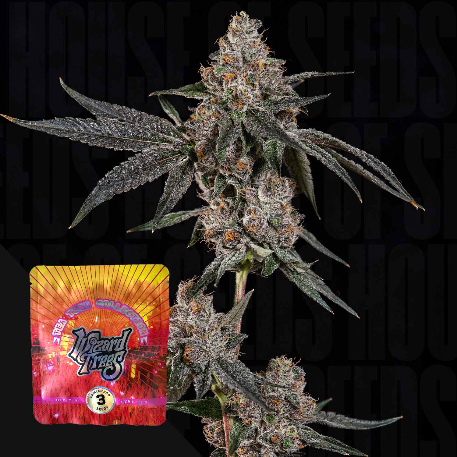 WZT-11-0