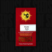 Rote Barney’s Farm Packung Runtz Auto mit Sonnenlogo, Aufschrift 3 Auto Seeds und Branding