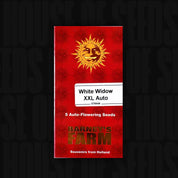 Rote Packung mit der Aufschrift White Widow XXL Auto, 5 Auto-Samen von Barney's Farm, mit Sonnenlogo.