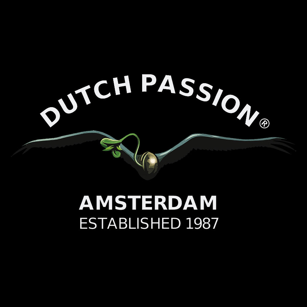 Dutch Passion Logo mit dem ext: AMSTERDAM ESTABLISHED 1987