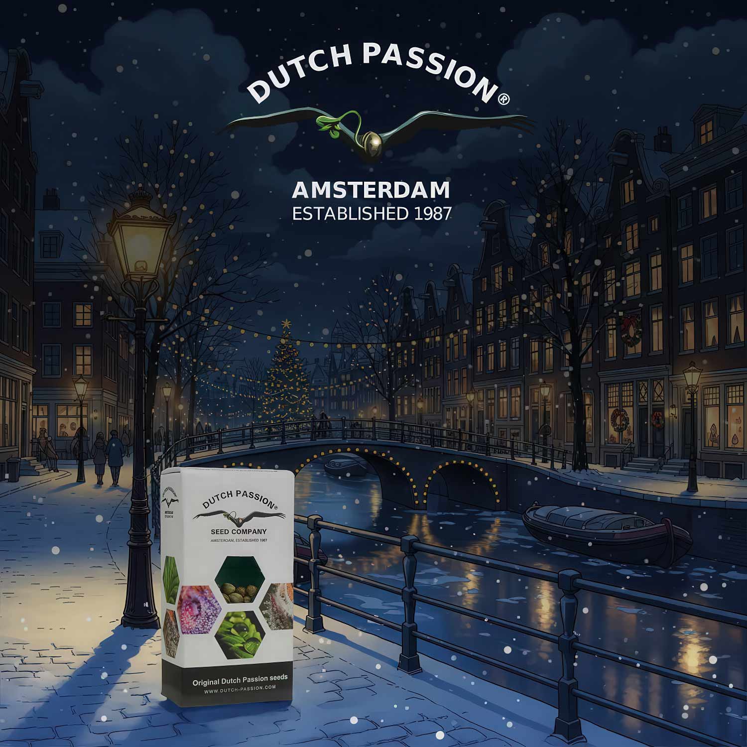 dutch-passion-weihnachten.jpg