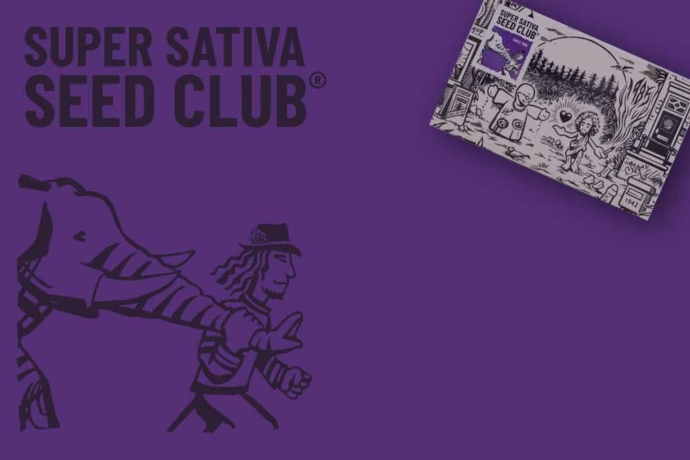 super-sativa-aktion.jpg